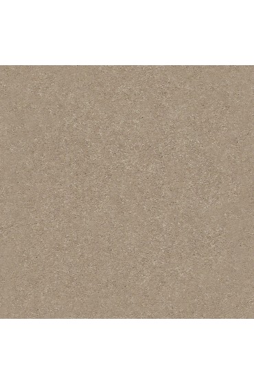 Carpet| STAINMASTER Blue Diamonds I 12 Ft Raw Lumber Textured Carpet (Indoor) - MK52717