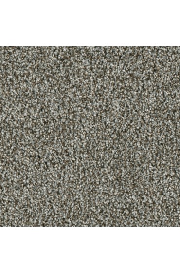 Carpet| STAINMASTER Brookhaven Textured Carpet (Indoor) - JO76881