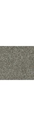 Carpet| STAINMASTER Brookhaven Textured Carpet (Indoor) - JO76881