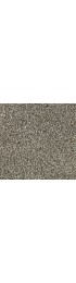 Carpet| STAINMASTER Calming Stride II Prairie Dusk Textured Carpet (Indoor) - PY23522