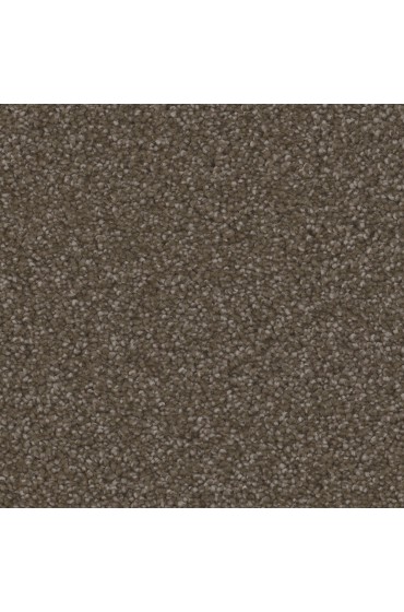 Carpet| STAINMASTER Echo Park Bay Textured Carpet (Indoor) - TV04110