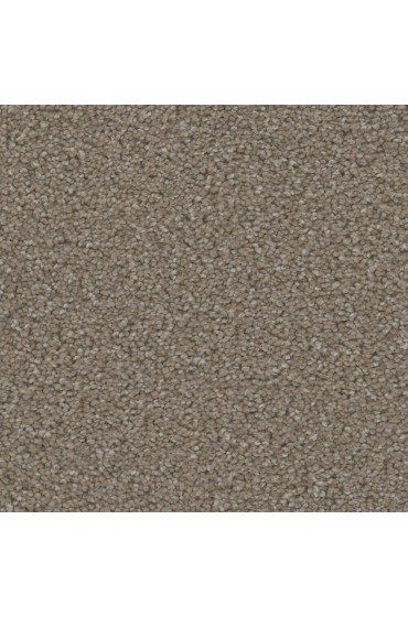 Carpet| STAINMASTER Echo Park Trial Textured Carpet (Indoor) - MP16348
