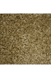 Carpet| STAINMASTER Essentials Coquina Summer Dune Textured Carpet (Indoor) - UO04430