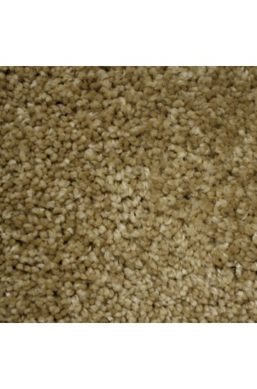 Carpet| STAINMASTER Essentials Coquina Summer Dune Textured Carpet (Indoor) - UO04430