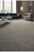 Carpet| STAINMASTER Essentials Impressive Piping Textured Carpet (Indoor) - KL75280