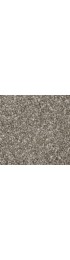 Carpet| STAINMASTER Essentials Impressive Showpiece Textured Carpet (Indoor) - LD45808