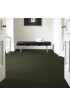 Carpet| STAINMASTER Essentials Intuition I 12 Ft Passion Vine Textured Carpet (Indoor) - SZ48712