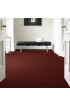 Carpet| STAINMASTER Essentials Intuition I 12 Ft Spiced Coral Textured Carpet (Indoor) - QG15788