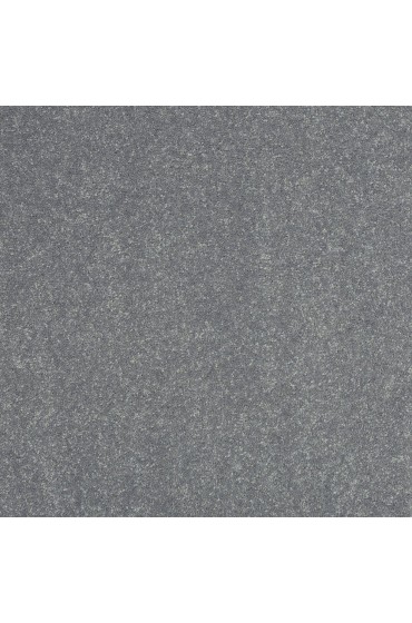 Carpet| STAINMASTER Essentials Intuition II 12 Ft Gray/Silver Textured Carpet (Indoor) - KS86914