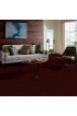 Carpet| STAINMASTER Essentials Intuition II 15 Ft Apache Red Textured Carpet (Indoor) - PX01277