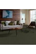 Carpet| STAINMASTER Essentials Intuition II 15 Ft Passion Vine Textured Carpet (Indoor) - GL95652