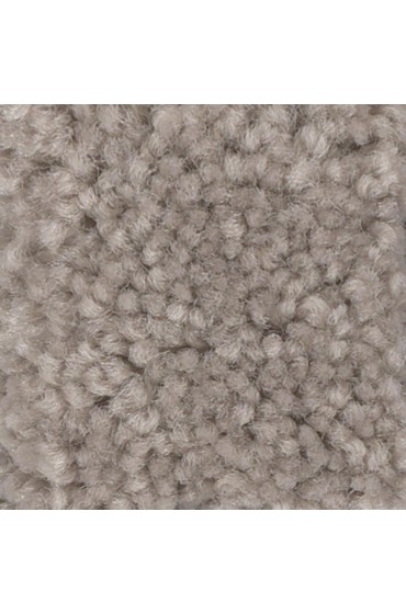 Carpet| STAINMASTER Essentials Intuition II 15 Ft Tumbleweed Textured Carpet (Indoor) - KD27926