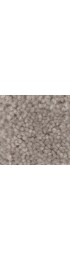 Carpet| STAINMASTER Essentials Intuition II 15 Ft Tumbleweed Textured Carpet (Indoor) - KD27926
