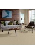 Carpet| STAINMASTER Essentials Intuition III 15 Ft Brown/Tan Textured Carpet (Indoor) - PL38875