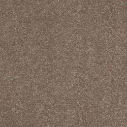 Carpet| STAINMASTER Essentials Intuition III 15 Ft Brown/Tan Textured Carpet (Indoor) - AP85468