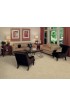 Carpet| STAINMASTER Essentials Marl Brazilian Brown Textured Carpet (Indoor) - UU63862