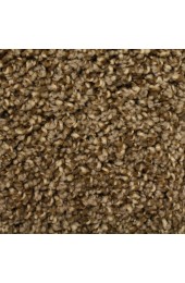 Carpet| STAINMASTER Essentials Marl Brazilian Brown Textured Carpet (Indoor) - UU63862