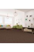 Carpet| STAINMASTER Essentials No Spills I Maple Leaf Textured Carpet (Indoor) - JH61721