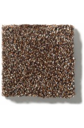 Carpet| STAINMASTER Essentials No Spills I Maple Leaf Textured Carpet (Indoor) - JH61721
