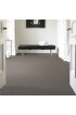 Carpet| STAINMASTER Essentials Palacial II Muffin Top Textured Carpet (Indoor) - KQ78317