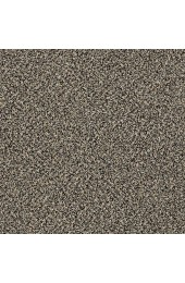 Carpet| STAINMASTER Essentials Palacial II Muffin Top Textured Carpet (Indoor) - KQ78317