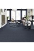 Carpet| STAINMASTER Essentials Splash Guard II Indigo Textured Carpet (Indoor) - AD63596