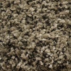 Carpet| STAINMASTER Essentials Summer Stoats Nest Textured Carpet (Indoor) - QV15160