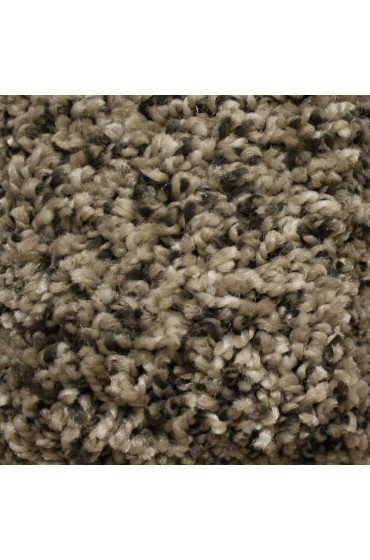 Carpet| STAINMASTER Essentials Summer Stoats Nest Textured Carpet (Indoor) - QV15160