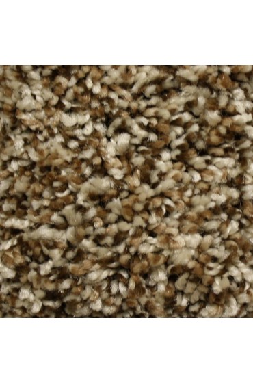 Carpet| STAINMASTER Essentials Valmeyer Heritage Textured Carpet (Indoor) - HA50010