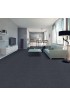 Carpet| STAINMASTER Exquisite Tonal I Washed Indigo (T) Textured Carpet (Indoor) - UW74842