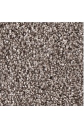 Carpet| STAINMASTER Gleeful Intrepid Textured Carpet (Indoor) - YO09691