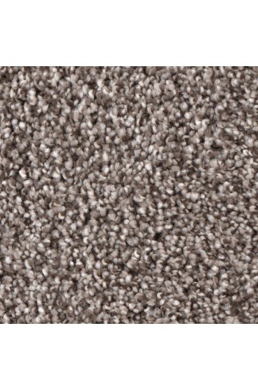 Carpet| STAINMASTER Gleeful Intrepid Textured Carpet (Indoor) - YO09691