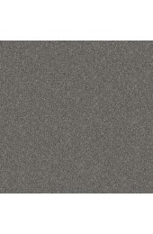 Carpet| STAINMASTER Impassioned I 12-FT Sea Ice Textured Carpet (Indoor) - AF99363