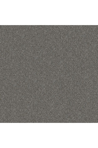 Carpet| STAINMASTER Impassioned I 12-FT Sea Ice Textured Carpet (Indoor) - AF99363