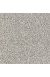 Carpet| STAINMASTER Impassioned I 15-FT Frozen Textured Carpet (Indoor) - UH50507