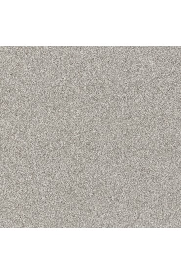 Carpet| STAINMASTER Impassioned I 15-FT Frozen Textured Carpet (Indoor) - UH50507
