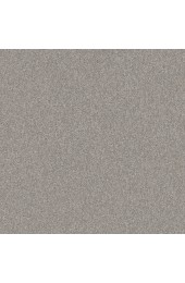 Carpet| STAINMASTER Impassioned II 12-FT Rock Crystal Textured Carpet (Indoor) - QT54817