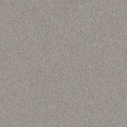 Carpet| STAINMASTER Impassioned II 12-FT Rock Crystal Textured Carpet (Indoor) - QT54817