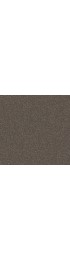 Carpet| STAINMASTER Impassioned II 15-FT Cafe Noir Textured Carpet (Indoor) - TX45429