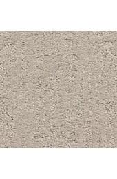 Carpet| STAINMASTER LiveWell Musical Legendary Pattern Carpet (Indoor) - LQ02099