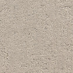 Carpet| STAINMASTER LiveWell Musical Legendary Pattern Carpet (Indoor) - LQ02099