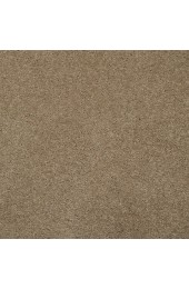 Carpet| STAINMASTER Luminosity Naturale Textured Carpet (Indoor) - DK60427