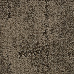 Carpet| STAINMASTER Mellow Walk Woodland Pattern Carpet (Indoor) - MH68547