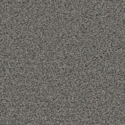 Carpet| STAINMASTER Mission Hills Old Town Textured Carpet (Indoor) - DB98847