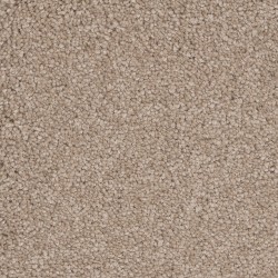 Carpet| STAINMASTER Outer Banks Adorable Textured Carpet (Indoor) - FQ63307