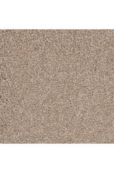 Carpet| STAINMASTER Outer Banks Adorable Textured Carpet (Indoor) - FQ63307