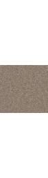 Carpet| STAINMASTER Outer Banks Pleasing Textured Carpet (Indoor) - IA89236