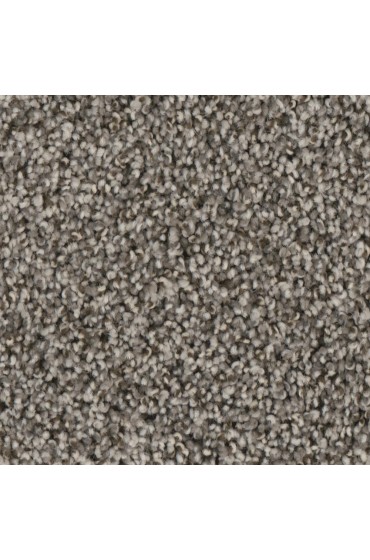 Carpet| STAINMASTER PetProtect Allure Leading Textured Carpet (Indoor) - WF44250