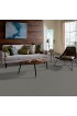 Carpet| STAINMASTER PetProtect Bark To The Future I Harbor Fog Textured Carpet (Indoor) - IX54055