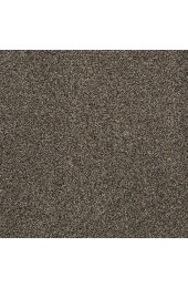 Carpet| STAINMASTER PetProtect Bark To The Future II Derby Textured Carpet (Indoor) - GM46395